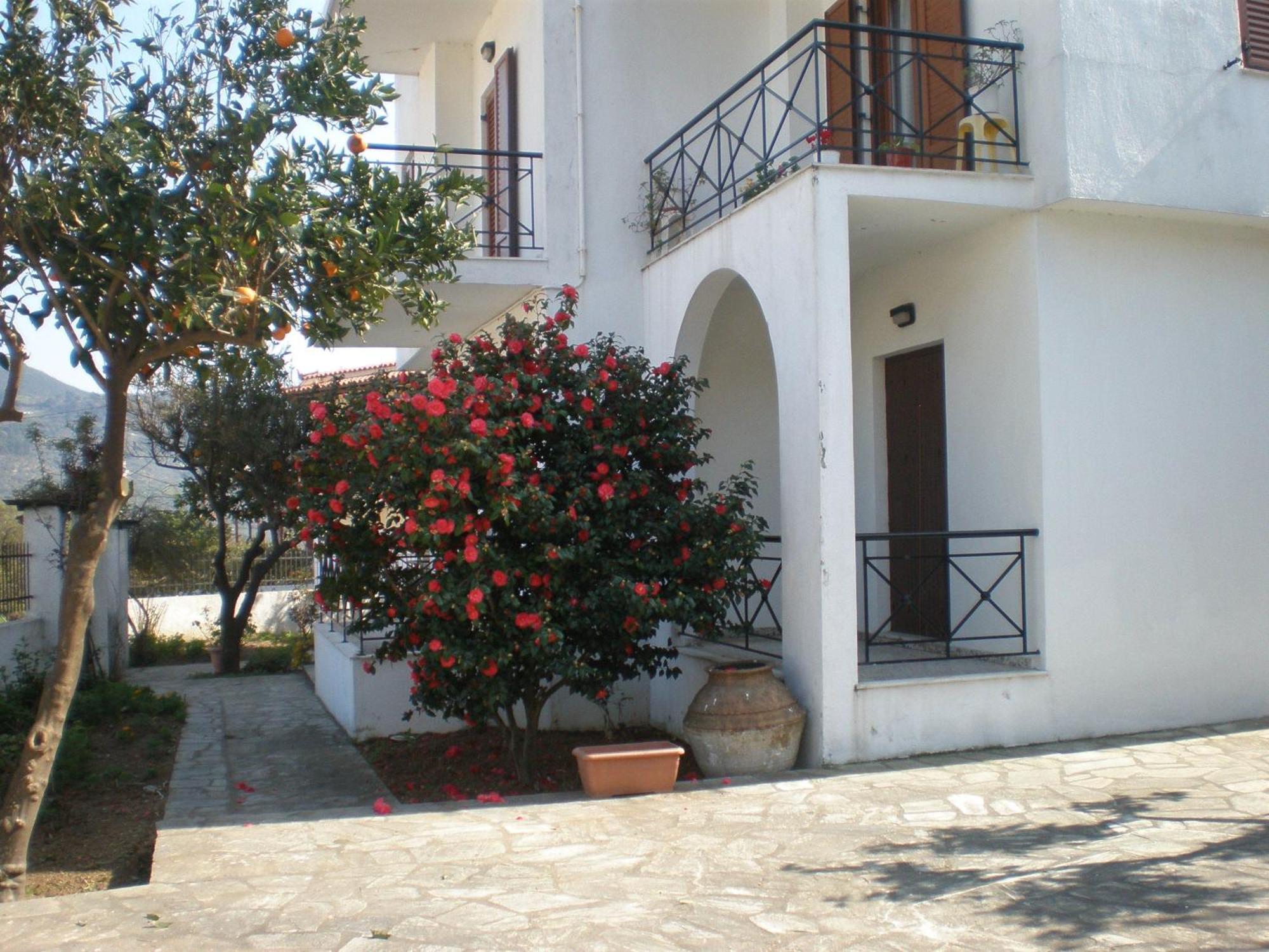 Karagiozos Studios & Apartments Szkópelosz Kültér fotó