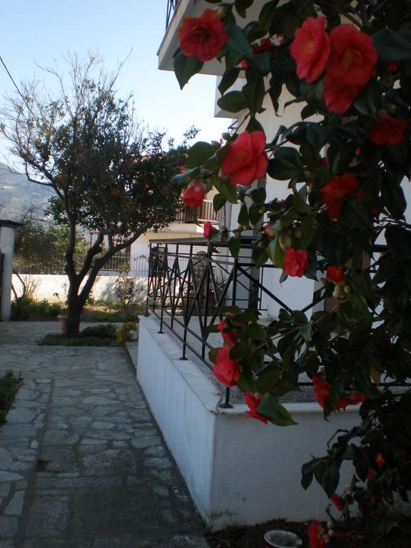 Karagiozos Studios & Apartments Szkópelosz Szoba fotó